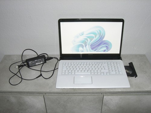 Sony vaio sve171 - windows, 11