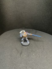 Warhammer 40k Space Marine Captain Scriptor Ordenspriester Primaris Terminator