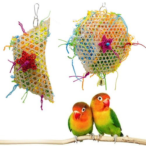 Papagei vogel beißspielzeug - vogel,