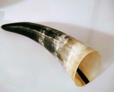 Trinkhorn, Füllhorn, Methorn