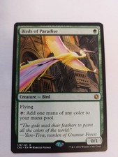 1x Birds of Paradise -