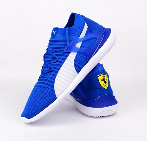 Puma ferrari evo cat - evo,