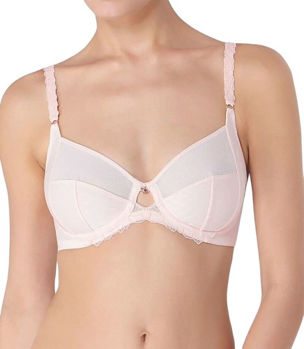 Triumph azalea florale - triumph,