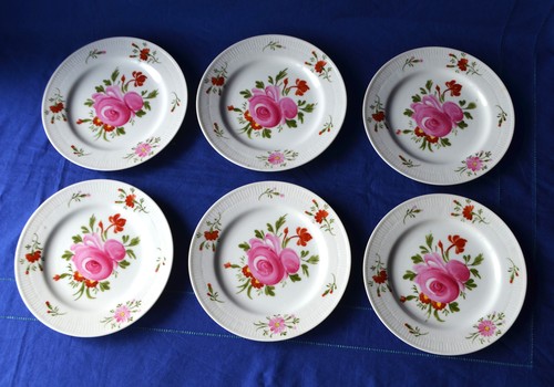 Warnecke ostfriesische rose - aw,