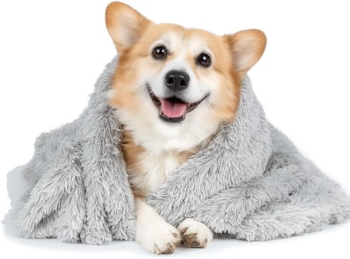 Flauschige hundedecke - flauschige,