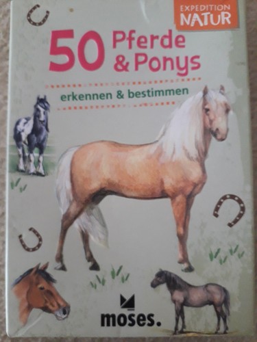 Pferde ponys - 50,