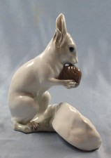Eichhörnchen galluba hoffmann