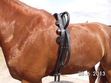 Leder Voltigiergurt Diplomat