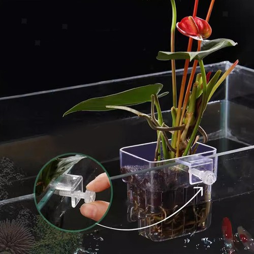 Aquarium pflanzenhalter hohl - aquarium,