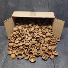 Walnussschalen Hälften 300 Stück • Natur Basteln Bastelmaterialien Nuss Schalen