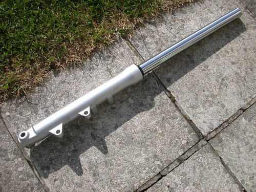 Gabel gabelbein links left - gabelbein,