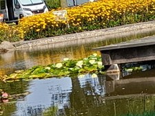 wohnwagen vorzelte gebraucht