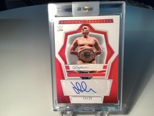 2024 Panini National Treasures WWE Gunther #DK-GTH Definitive Ink 12/25