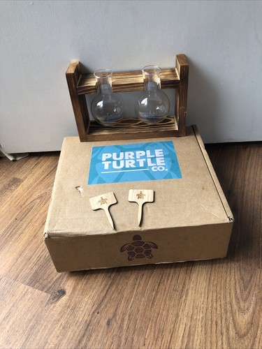 Purple turtle rahmen 2 - rahmen, x
