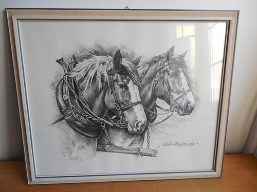 Pferde pferdegespann portrait - pferdegespann,