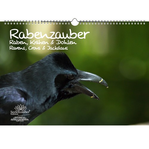 Rabenzauber raben krähen - krähen, und