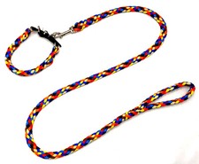 Hundeleine + Hundehalsband