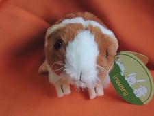 Meerschweinchen - ,