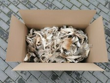 Reh Hirsch Damwild Wild Fell