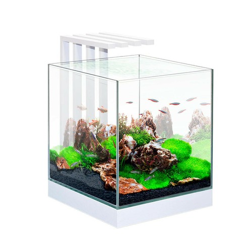 Ciano nexus pure aquarium - pure, 25