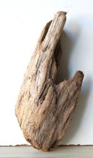 Treibholz Schwemmholz