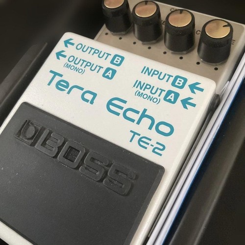 Boss tera echo - te-2,