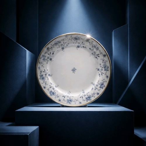 Johann haviland bavaria - haviland,