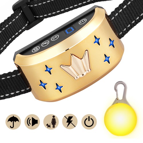 Led hund ausbildung - hund, antibell