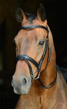 Schockemöhle Trense Basic