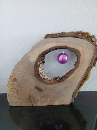 Hohle nussbaum baumscheibe - nussbaum, ca