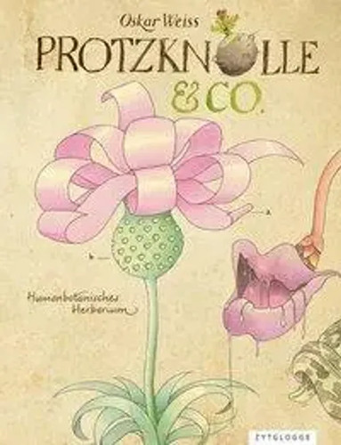 Protzknolle - , |