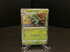 Pokemon Karte Gewaldro /