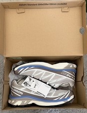  Exclusive Salomon XT-6 Silver