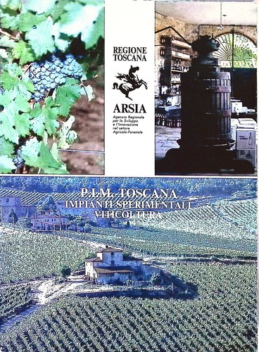Arsia experimentelle - arsia, /
