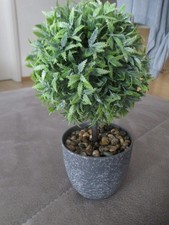 Künstlich Vanille-Kugel Pflanze eingetopft NEU