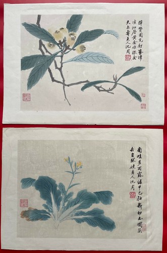 Ein paar china shen - ein,