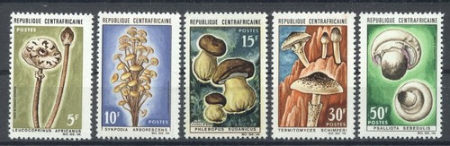 Pilze mushrooms - pilze,,