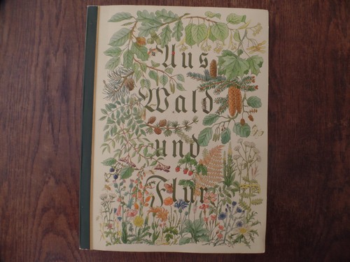 Buch aus wald - wald, und