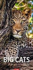 Big Cats Kalender 2026 | Kalender | Tierkalender Weingarten | Spiralbindung