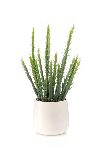 Artplants deko kaktus - artplants,