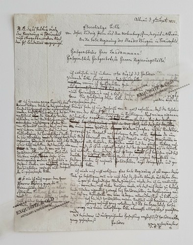 1822 palm altnau schweiz - palm,