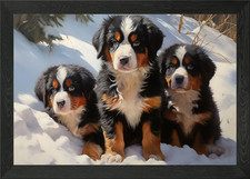 Berner sennenhund herbst - sennenhund,