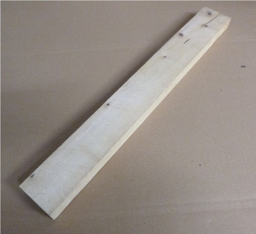 Riegelahorn ahorn riegel - ahorn,