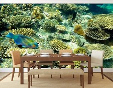 3D Koralle Fisch Q7803 Tapete