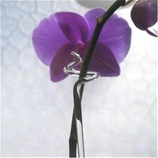 Orchideenstab Orchideenstäbe