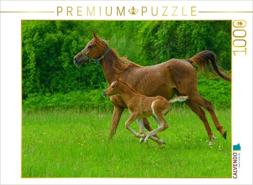 Calvendo puzzle gestreckter - calvendo,