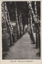 (RB)2024-178, Ak, Regenwalde Polen Pommern Birkenweg zum Schützenhaus