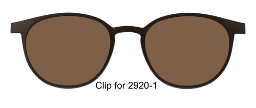 Sonnenbrillenclip - 1,