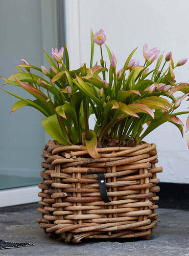 Living rattan korb - living,