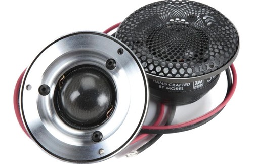 Morel supremo piccolo lotus - supremo,